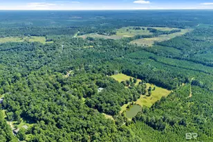 63998 State Hwy 59, Stockton, AL 36579 - Photo 46