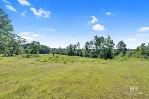 63998 State Hwy 59, Stockton, AL 36579 - Photo 42