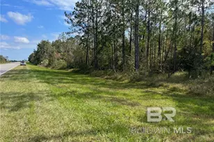 0 Woerner Rd, Foley, AL 36535 - Photo 2