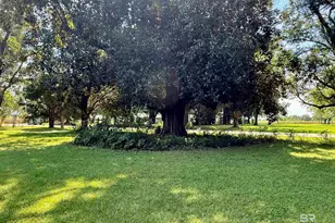 16627 Co Rd 26, Foley, AL 36535 - Photo 38