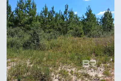 00000 Linholm Road, Robertsdale, AL 36567 - Photo 8