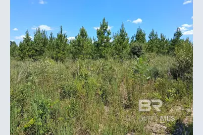 00000 Linholm Road, Robertsdale, AL 36567 - Photo 12
