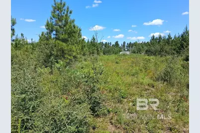 00000 Linholm Road, Robertsdale, AL 36567 - Photo 16