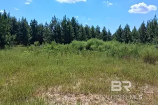 00000 Linholm Rd, Robertsdale, AL 36567 - Photo 1