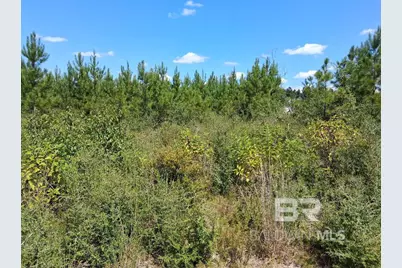 00000 Linholm Road, Robertsdale, AL 36567 - Photo 14