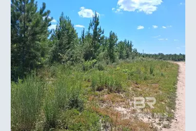 00000 Linholm Road, Robertsdale, AL 36567 - Photo 6
