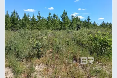 00000 Linholm Road, Robertsdale, AL 36567 - Photo 10
