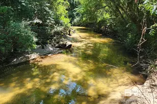 22137 Wolf Creek Dr, Foley, AL 36535 - Photo 22