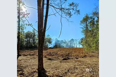 11040 County Road 138, Bay Minette, AL 36507 - Photo 4