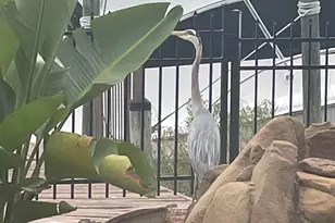 30475 Harbour Dr, Orange Beach, AL 36561 - Photo 90