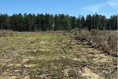 8 County Road 64, Robertsdale, AL 36567 - Photo 6