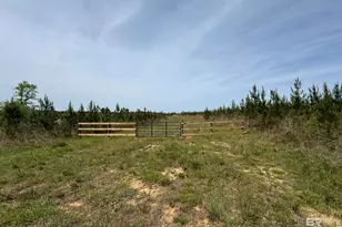 8 County Road 64, Robertsdale, AL 36567 - Photo 1