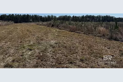 8 County Road 64, Robertsdale, AL 36567 - Photo 12