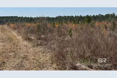 8 County Road 64, Robertsdale, AL 36567 - Photo 20