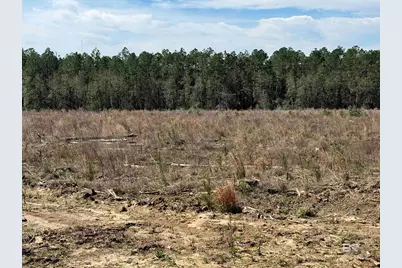 8 County Road 64, Robertsdale, AL 36567 - Photo 26