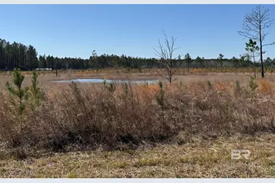 8 County Road 64, Robertsdale, AL 36567 - Photo 10