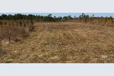 8 County Road 64, Robertsdale, AL 36567 - Photo 10