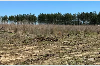 8 County Road 64, Robertsdale, AL 36567 - Photo 12