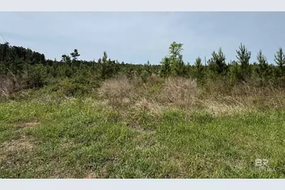 8 County Road 64, Robertsdale, AL 36567 - Photo 4
