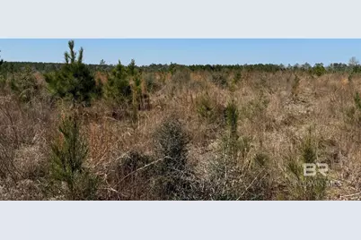 3 County Road 64, Robertsdale, AL 36567 - Photo 14