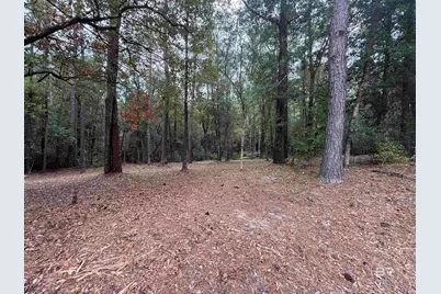 43807 State Highway 225, Bay Minette, AL 36507 - Photo 6