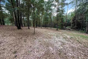 43807 State Hwy 225, Bay Minette, AL 36507 - Photo 1