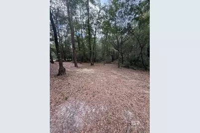 43807 State Highway 225, Bay Minette, AL 36507 - Photo 8