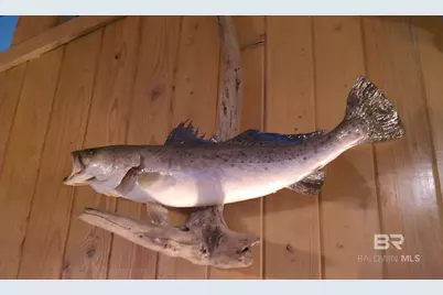 2432 W Beach Boulevard, Gulf Shores, AL 36542 - Photo 48