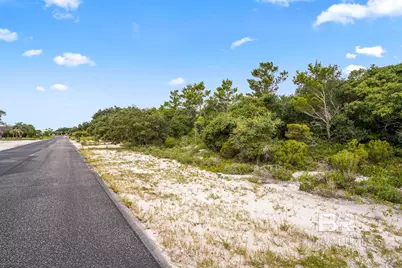 Ono North Loop West, Orange Beach, AL 36561 - Photo 14