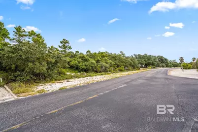 Ono North Loop West, Orange Beach, AL 36561 - Photo 16