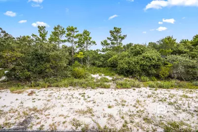 Ono North Loop West, Orange Beach, AL 36561 - Photo 16