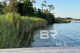 1598 Matias Dr, Lillian, AL 36549 - Photo 46