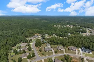 32295 Whimbret Way, Spanish Fort, AL 36527 - Photo 44