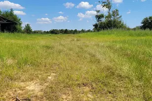 14030 Joe Norris Ln, Foley, AL 36535 - Photo 1