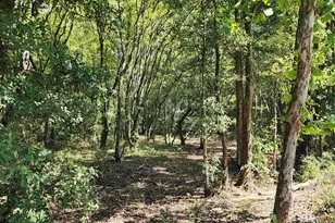 23595 Co Rd 47, Perdido, AL 36562 - Photo 64