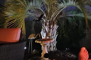 9355 Eiland Dr, Foley, AL 36535 - Photo 30