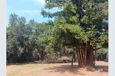 16253 Tolbert Road, Bay Minette, AL 36507 - Photo 10