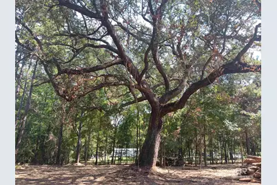 16253 Tolbert Road, Bay Minette, AL 36507 - Photo 8