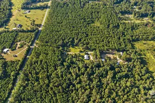 9350 Tompkins Rd, Stockton, AL 36579 - Photo 6