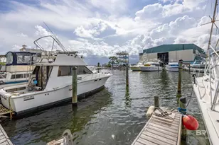 14100 River Rd, Perdido Key, AL 32507 - Photo 36