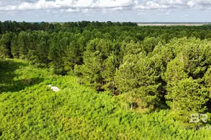 0 James Rd, Foley, AL 36535 - Photo 1