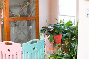 10295 Co Rd 48, Fairhope, AL 36532 - Photo 48