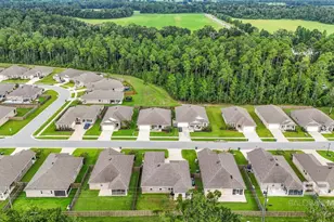 917 Ruisseau Dr, Foley, AL 36535 - Photo 46