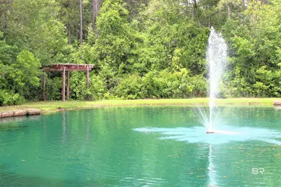 28086 Migratory Way, Elberta, AL 36530 - Photo 38