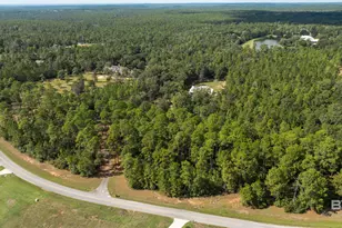 12169 Coyote Dr, Spanish Fort, AL 36527 - Photo 82