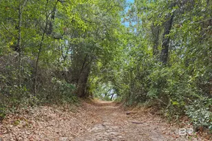 12230 Co Rd 99, Lillian, AL 36549 - Photo 28