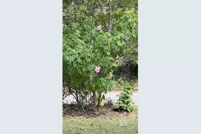 185 Magnolia Loop, Flomaton, AL 36441 - Photo 56