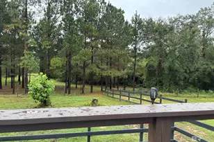 19402 Steadham Ln, Robertsdale, AL 36567 - Photo 60