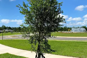 22065 Seabrooke Ave, Foley, AL 36535 - Photo 60