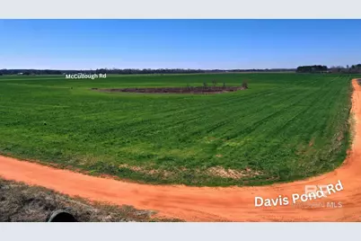 Lot 3 McCullough Road, Atmore, AL 36502 - Photo 28